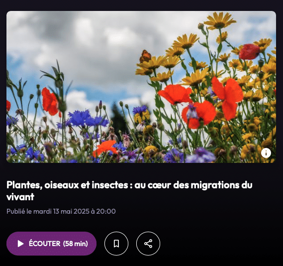 Podcast France Culture sur les migrations du vivant : déplacement des plantes, oiseaux et insectes face au changement climatique.