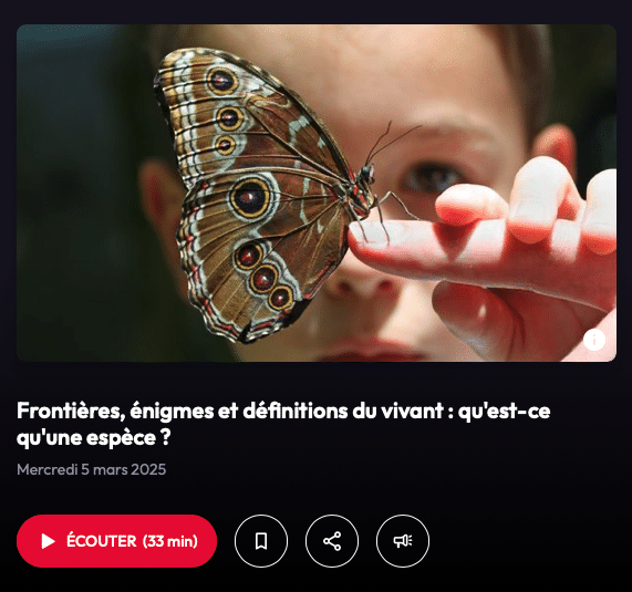 Gros plan d’un enfant observant un papillon aux ailes colorées, illustrant les frontières et définitions du vivant dans le cadre d’un article sur la notion d’espèce.