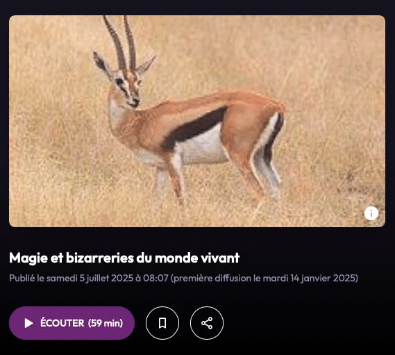 Gazelle observant son environnement dans la savane, illustrant la diversité et les bizarreries du monde vivant.