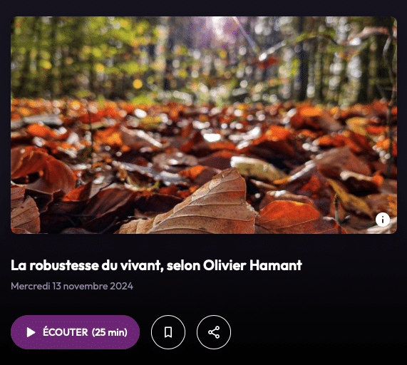 Feuilles mortes aux teintes orangées et brunes recouvrant le sol d’une forêt en automne, illustrant la réflexion d’Olivier Hamant sur la robustesse du vivant.