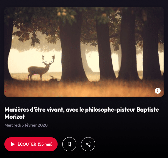 Cerf dans une clairière forestière, illustrant les relations entre humains et nature dans le podcast Manières d’être vivant avec Baptiste Morizot.