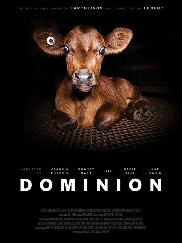 Affiche du documentaire Dominion, montrant un veau allongé sur un sol métallique, dénonçant les conditions de vie des animaux d’élevage.