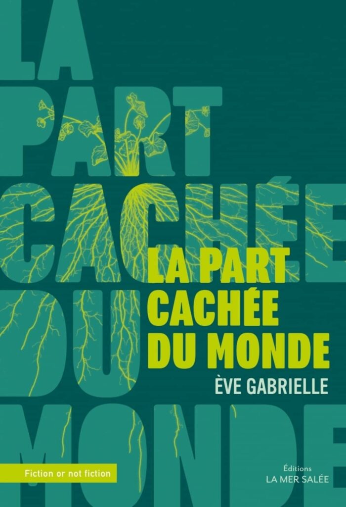 Première de couverture de l'ouvrage : La part cachée du monde, Ève Gabrielle