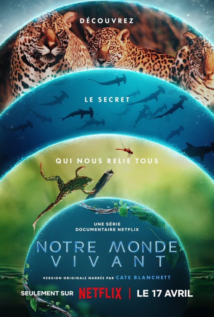 Affiche série : Notre monde vivant
